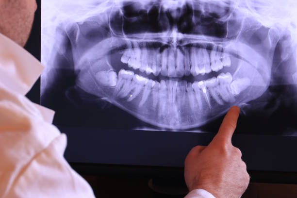 Best Emergency X-Rays and Diagnostics in Rimersburg, PA